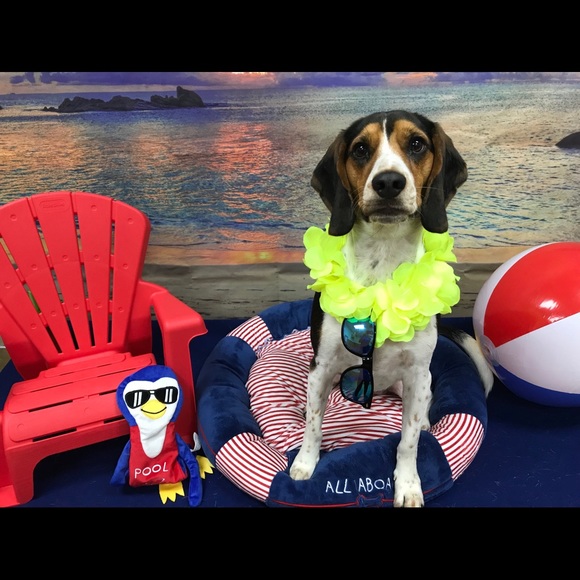 Meet your Posher, Jacqueline - Picture 1 of 1